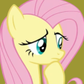 shy think